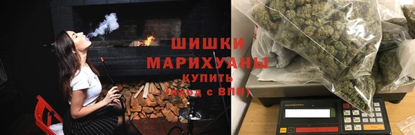 хмурый Няндома