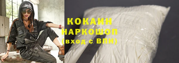 хмурый Няндома