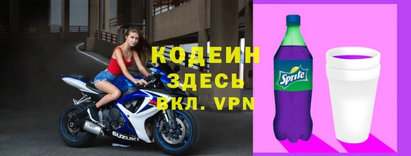 хмурый Няндома