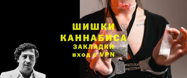 хмурый Няндома