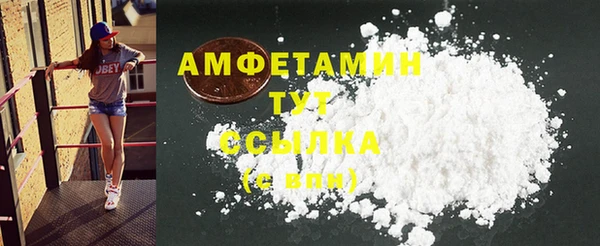 хмурый Няндома