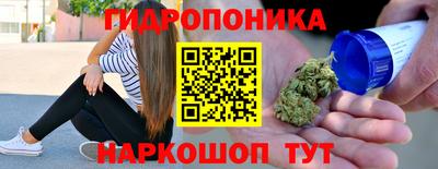 Альфа ПВП Будённовск