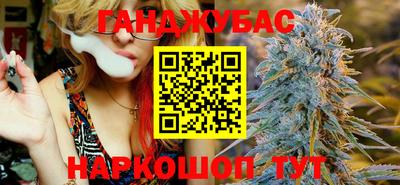 крисы Гатчина