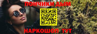 крисы Гатчина