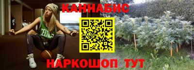 крисы Гатчина