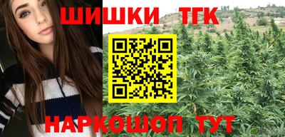 Альфа ПВП Будённовск