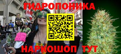 крисы Гатчина