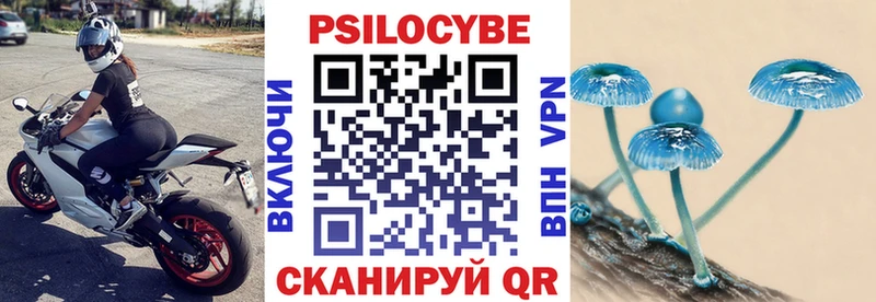 купить закладку Кизилюрт Галлюциногенные грибы мухоморы
