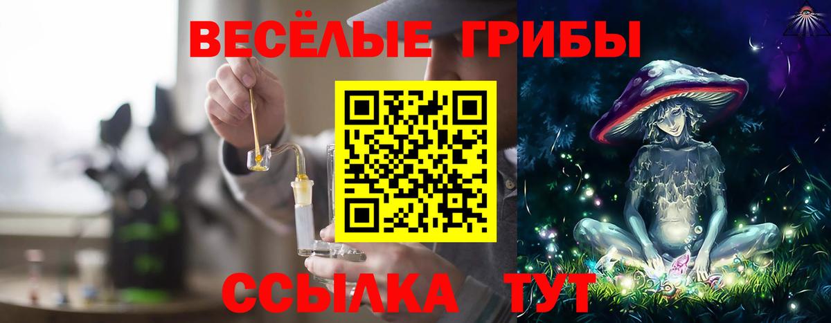 Галлюциногенные грибы Cubensis  Кизилюрт  Галлюциногенные грибы GOLDEN TEACHER 