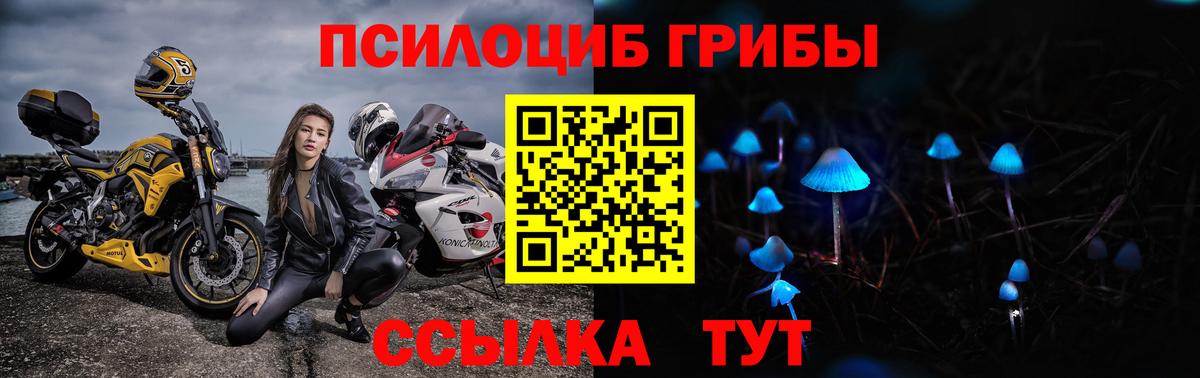 Кизилюрт  Галлюциногенные грибы Psilocybe  Галлюциногенные грибы прущие грибы  Вход с VPN 