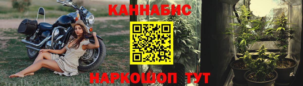 Бошки Шишки THC 21% Кизилюрт